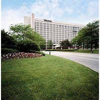 The Westin O'Hare Accommodation From OnHotels